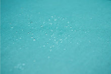 Load image into Gallery viewer, 303® Fabric Guard – Chair Beading Water