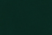 Load image into Gallery viewer, Recasens® Recacril® Forest Green 60" R-102