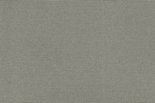 Load image into Gallery viewer, Recasens® Recacril® Cadet Grey 60" R-138