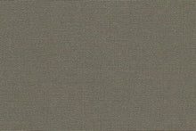 Load image into Gallery viewer, r_161