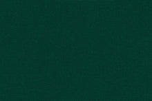 Load image into Gallery viewer, Recasens® Recacril® Green 47" R-163