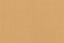 Load image into Gallery viewer, r_222_0