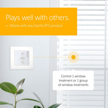 Load image into Gallery viewer, Somfy® Smoove® 1 RTS Product Compatibility
