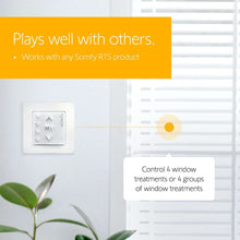Load image into Gallery viewer, Somfy® Smoove® 4 RTS Product Compatibility