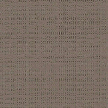 Load image into Gallery viewer, soltis-92_50266_0