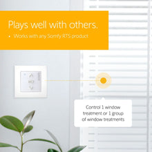 Load image into Gallery viewer, Somfy® Smoove® 1 RTS Product Compatibility
